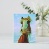 Carte Postale Chili (Debout devant)