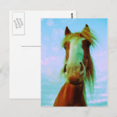 Carte Postale Chili (Devant / Derrière)