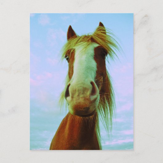 Carte Postale Chili (Devant)