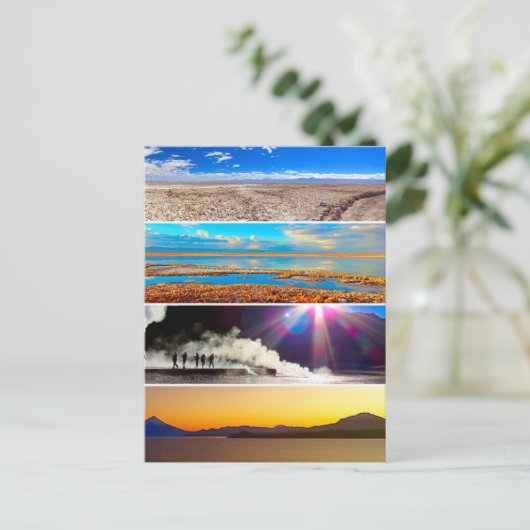 Carte Postale chili parques (Debout devant)