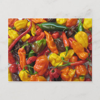 Carte Postale Chili Pile