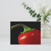 Carte Postale Chili rouge (Debout devant)