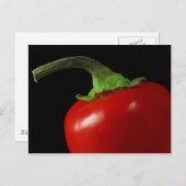 Carte Postale Chili rouge (Devant / Derrière)