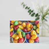 CARTE POSTALE CHILIES (Debout devant)