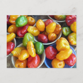 CARTE POSTALE CHILIES