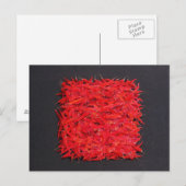 Carte Postale Chillies (Devant / Derrière)