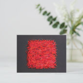 Carte Postale Chillies (Debout devant)