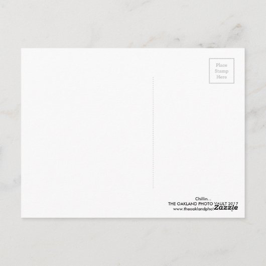 Carte Postale Chillin... (Dos)