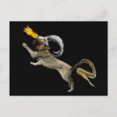 Carte Postale Chimera (Devant)