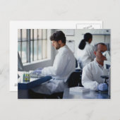Carte Postale Chimistes travaillant en laboratoire (Devant / Derrière)
