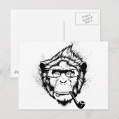 Carte Postale Chimp caractéristique (Devant / Derrière)