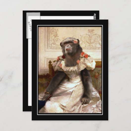 Carte Postale Chimp dans Gown (Devant / Derrière)