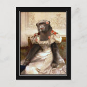 Carte Postale Chimp dans Gown (Devant)