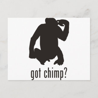 Carte Postale Chimpanzé