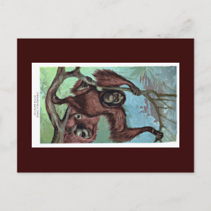 Carte postale - chimpanzé