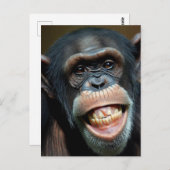 Carte Postale Chimpanzé (Devant / Derrière)