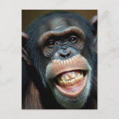 Carte Postale Chimpanzé (Devant)