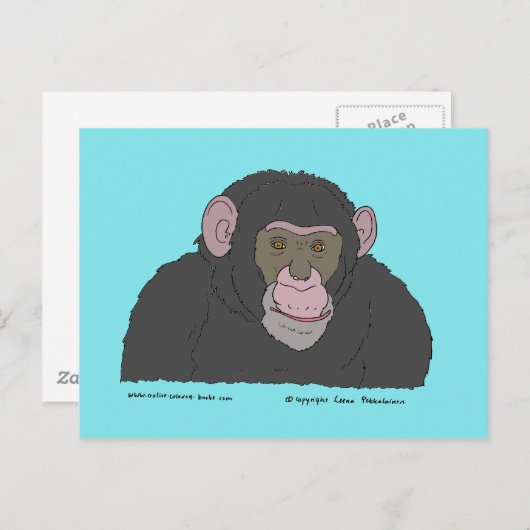 Carte Postale Chimpanzé (Devant / Derrière)