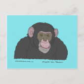 Carte Postale Chimpanzé (Devant)