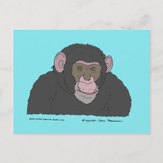 Carte Postale Chimpanzé (Devant)