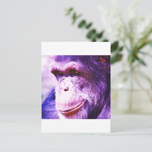 Carte Postale Chimpanzé (Debout devant)