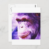 Carte Postale Chimpanzé (Devant / Derrière)