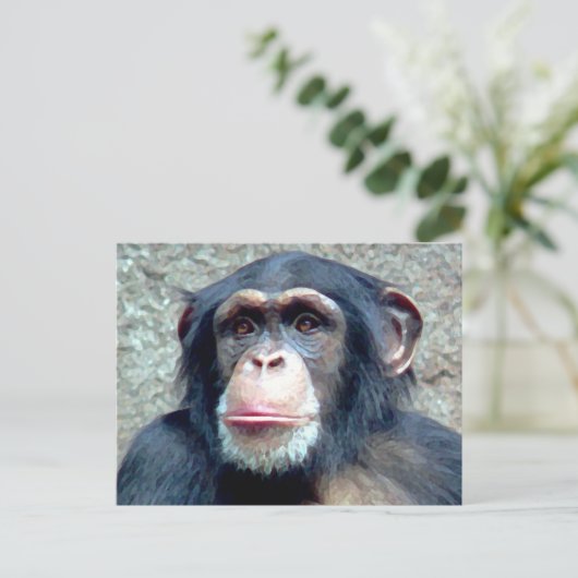 Carte Postale Chimpanzé (Debout devant)