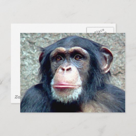 Carte Postale Chimpanzé (Devant / Derrière)