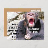 Carte Postale Chimpanzé_ (Devant / Derrière)