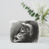 Carte Postale Chimpanzé déçu et Sulky (Debout devant)