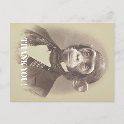 Carte Postale Chimpanzé gentleman disant "Merci" (Devant)