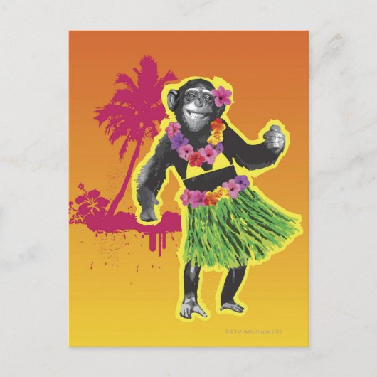 Carte Postale Chimpanzé Hula danse (Devant)