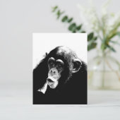 Carte Postale Chimpanzé noir blanc (Debout devant)