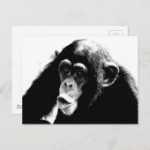Carte Postale Chimpanzé noir blanc (Devant / Derrière)