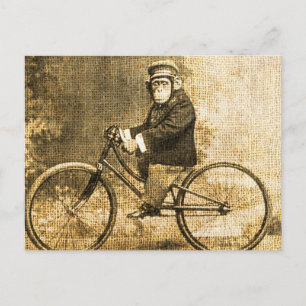 Carte Postale Chimpanzé vintage à vélo