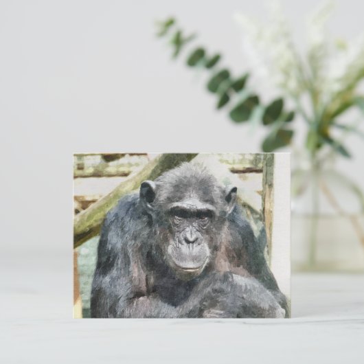 CARTE POSTALE CHIMPANZÉS MIGNONS (Debout devant)