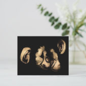 Carte Postale chimpanzés qui s'embrassent (Debout devant)