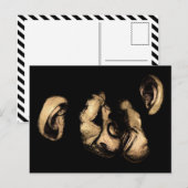 Carte Postale chimpanzés qui s'embrassent (Devant / Derrière)