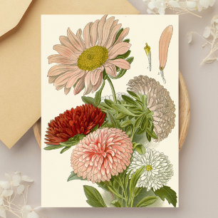 Carte Postale China Asters - Exquise Vintage Florale Botanique