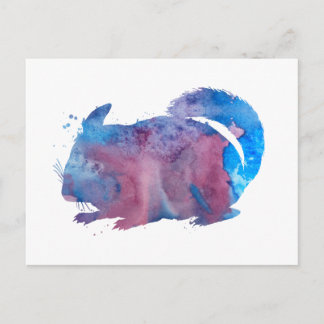 Carte Postale Chinchilla