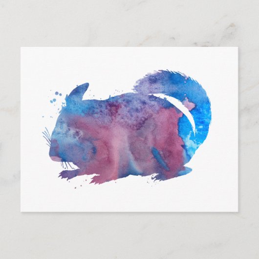 Carte Postale Chinchilla (Devant)