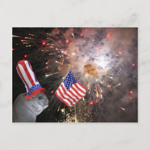 Carte Postale Chinchilla patriotique