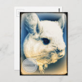 Carte Postale Chinchillin FullSizeRender (Devant / Derrière)