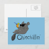 Carte Postale chinchilline (Devant / Derrière)