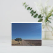 Carte Postale Chinchon (Espagne) (Debout devant)