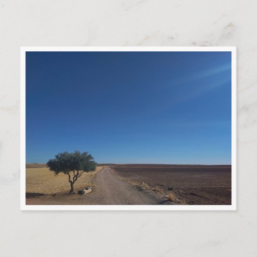 Carte Postale Chinchon (Espagne) (Devant)
