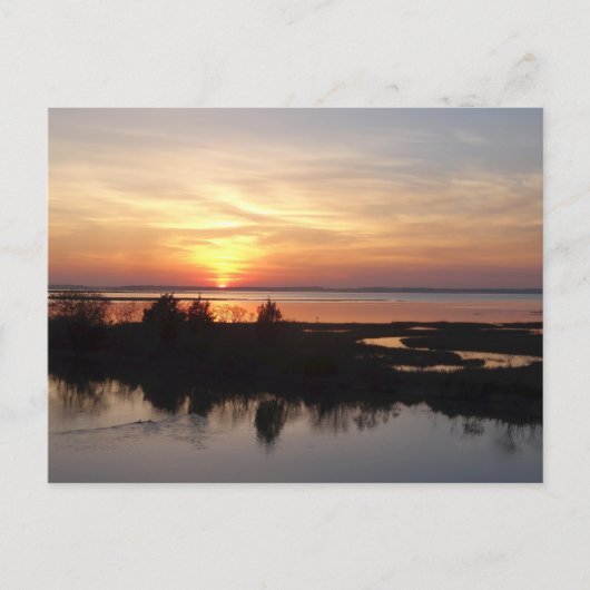 Carte Postale Chincoteague Sunset II Virginia Paysage (Devant)