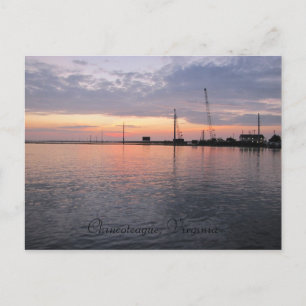 Carte Postale Chincoteague, Virginie