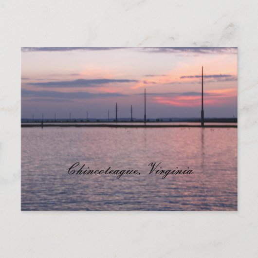 Carte Postale Chincoteague, Virginie (Devant)