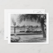 Carte Postale Chine Amarrage à Clipper sur l'île d'Hawaï (Devant / Derrière)